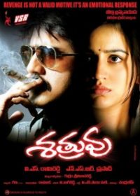 Satruvu 2013 Telugu Movie Watch Online