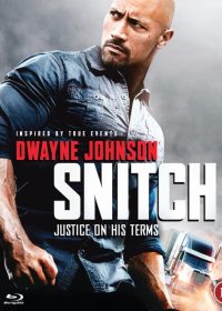 Snitch (2013) BRRip 420p 300MB Dual Audio 1