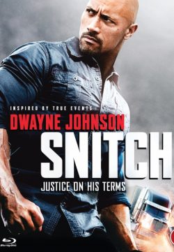 Snitch (2013) BRRip 420p 300MB Dual Audio