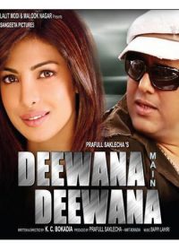 Deewana Main Deewana (2013) 300MB DVDRip 1