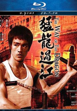 The Way of the Dragon (1972) 420p 300MB Dual Audio