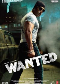 Wanted (2009) Hindi Movie 5