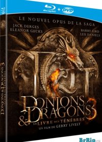 Dungeons & Dragons 3 (2012) Dual Audio 5