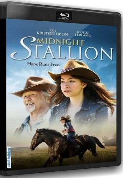 Midnight Stallion (2013) Watch Online