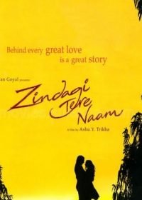 Zindagi Tere Naam (2012) 300MB Movie  Downloade 5