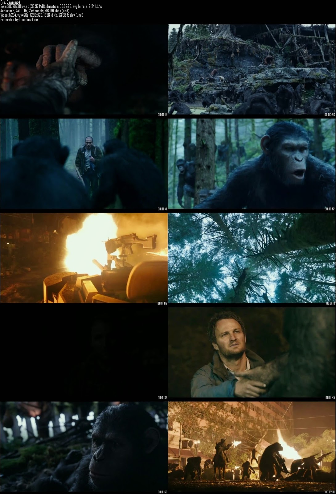 Dawn Of The Planet Of The Apes (2014)