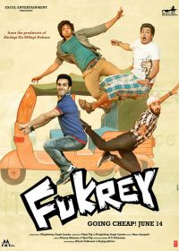 Fukrey (2013) Hindi Movie