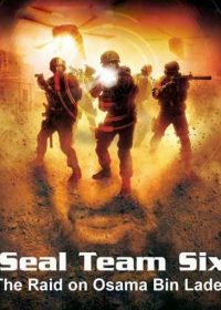 Seal Team Six The Raid on Osama Bin Laden (2012) Watch Online 1080p 1