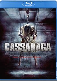 Cassadaga (2011) 720p BluRay x264 English Movie Free Download 5