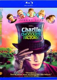 Charlie and the Chocolate Factory 2005 Dual Audio 720p 850mb Download 1