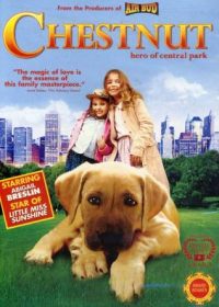 Chestnut Hero of Central Park (2004) Dual Audio Free Download In HD 480p 250MB 5