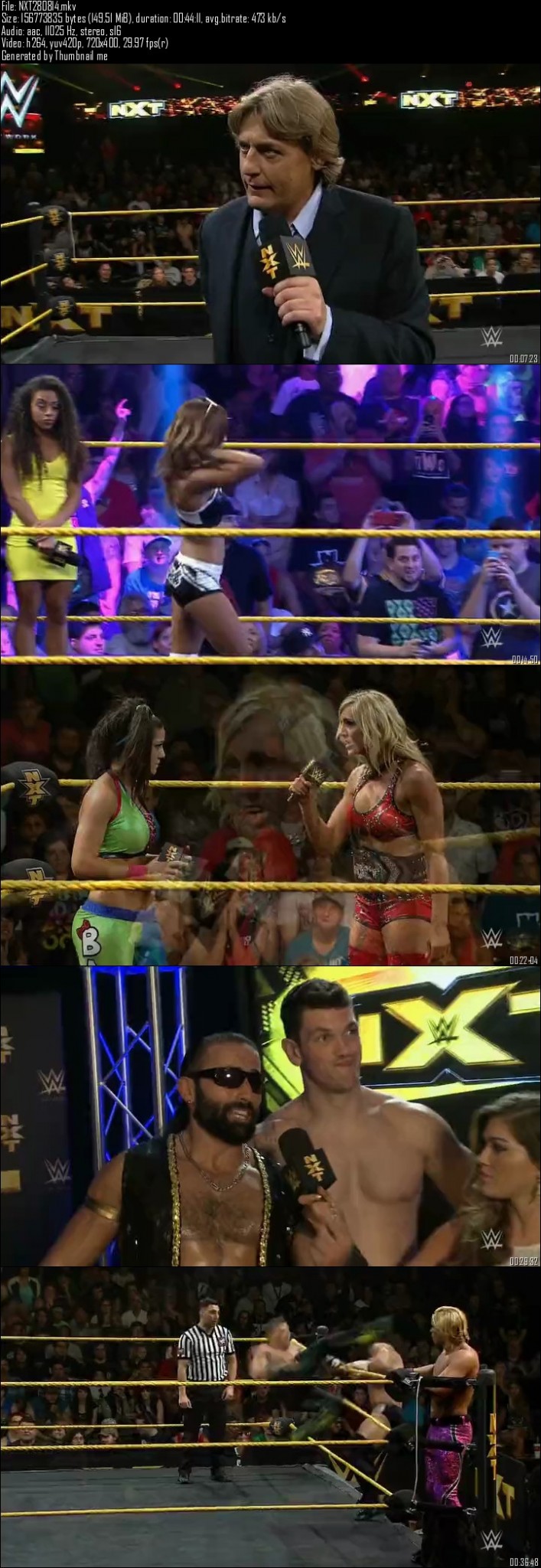 WWE NXT 28th August (2014)