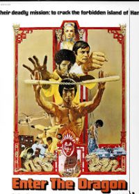 Enter the Dragon (1973) Hindi Dubbed Download 480p 300MB 1