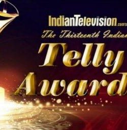 13th Indian Telly Awards (2014) Free Download In HD 480p 250MB