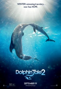 Dolphin Tale 2 (2014) Download In English 400MB 480p