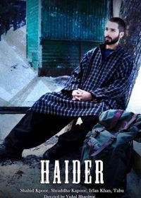 Haider (2014) Hindi Movie 720p 200MB free Download