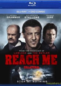 Reach Me (2014) Hindi Dubbed 200MB 480p Free Download