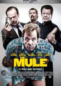 The Mule (2014) English HD 480p 200MB Free Download