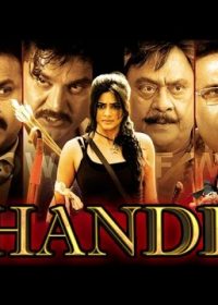 Chandi (2013) Hindi Dubbed Download 300MB 480p