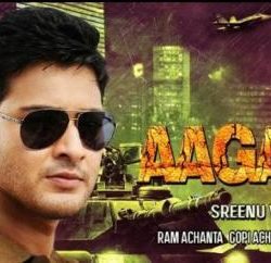 Encounter Shankar (Aagadu) 400MB Hindi Dubbed Download 480p