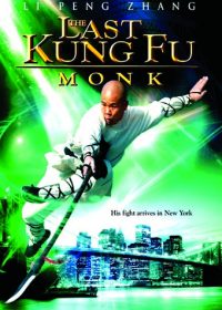 Last Kung Fu Monk (2010) Hindi Dubbed 250MB 480p Download