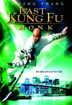 Last Kung Fu Monk (2010) Hindi Dubbed 250MB 480p Download