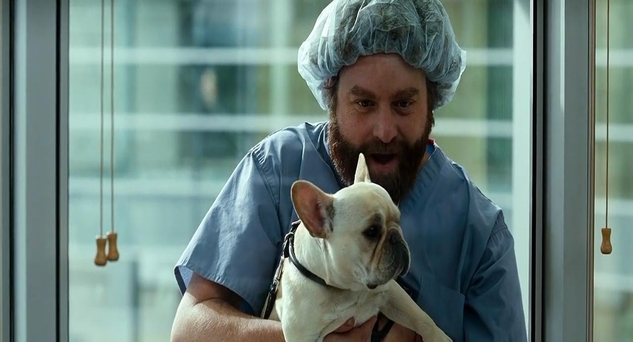 Due Date (2010)