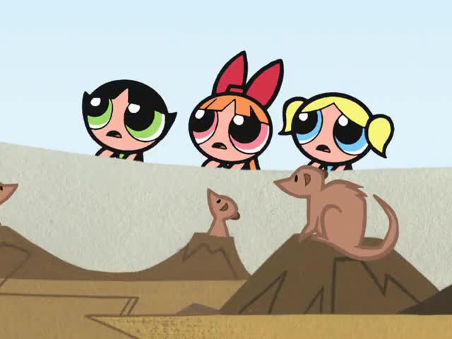 The Powerpuff Girls (2002)