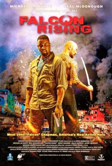 Falcon Rising (2014)