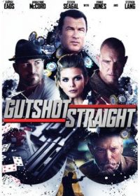 Gutshot Straight (2014) Hindi Dubbed Download 250MB 480p