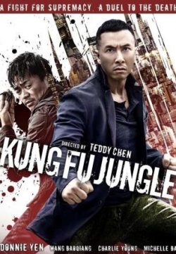 Kung Fu Killer (2014) Dual Audio Download HD 480p 250MB