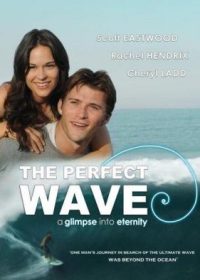 The Perfect Wave (2014) 200MB 480p English