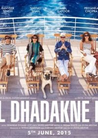 Dil Dhadakne Do (2015) Hindi Movie 300MB