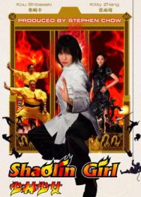 Shaolin Girl (2008) 720P Hindi Dubbed 200MB