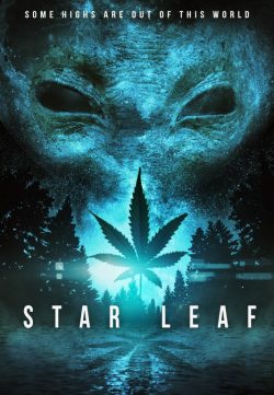 Star Leaf (2015) HDRip 480p 200MB