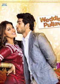 Wedding Pullav (2015) Hindi Full Movie Watch Online HD 480p