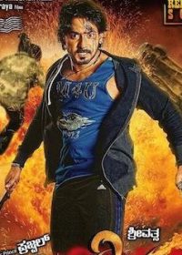 Asli Fighter (2015) Hindi Dubbed Watch Online HD 480p