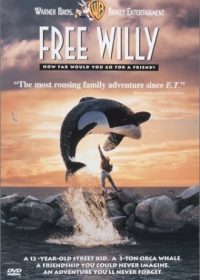 Free Willy 1993 Hindi Dual 480P 350MB