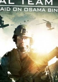 Seal Team Six (2012) Dual Audio 720p Free Download 400MB