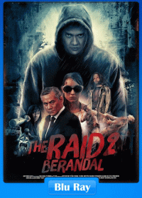 The Raid 2 2014 Dual Audio 480p BluRay 450MB