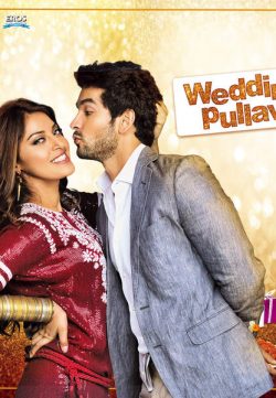 Wedding Pullav 2015 Hindi Movie 300MB DVDRip