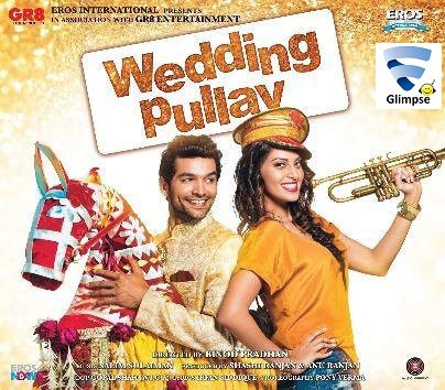 Wedding-Pullav-2015-Full-Movie-DVDRip-700MB