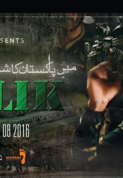 Maalik (2015) Pakistani Movie DVDScr 700MB