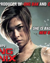 Raging Phoenix (2009) hindi Dubbed 400MB HDRIp 480p