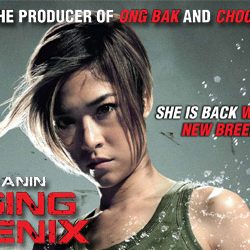 Raging Phoenix (2009) hindi Dubbed 400MB HDRIp 480p