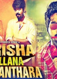 Trisha Illana Nayanthara 2016 Hindi Dubbed HDRIP 480p