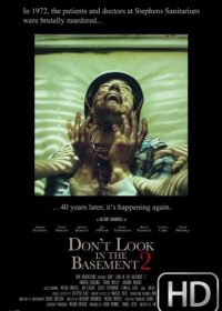 Dont Look In The Basement 2 (2015) WEB-DL 350MB