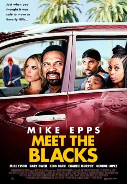 Meet the Blacks (2016) TSRip 600MB