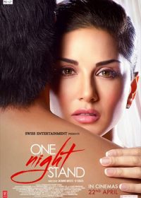 One Night Stand 2016 Hindi Movie DVDScr 550MB