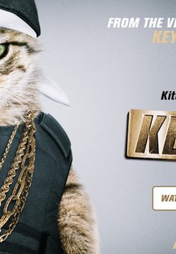 Keanu (2016) English WEBRiP 1080p